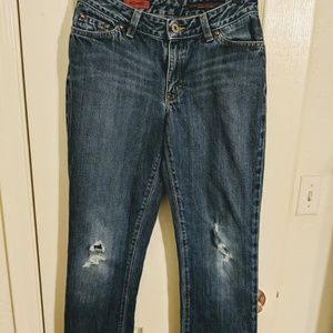 Anthropologie AG Adriano Goldschmied The Gemini